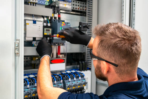 Best Electric Panel Repair  in Alpine, CA