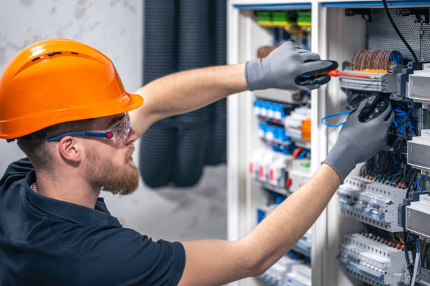 Best Electric Panel Repair  in Alpine, CA